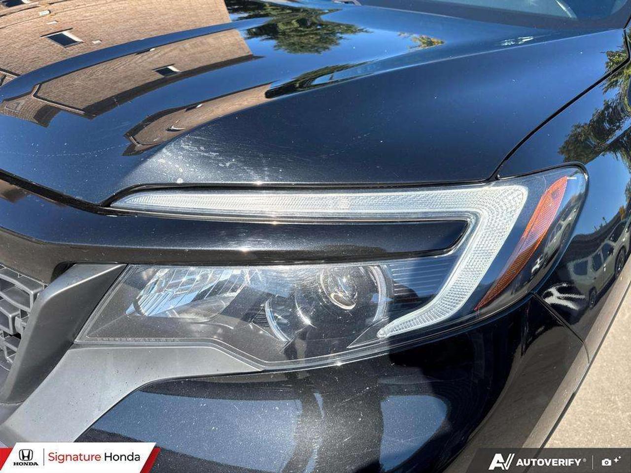 2021 Honda Passport SPORT Photo