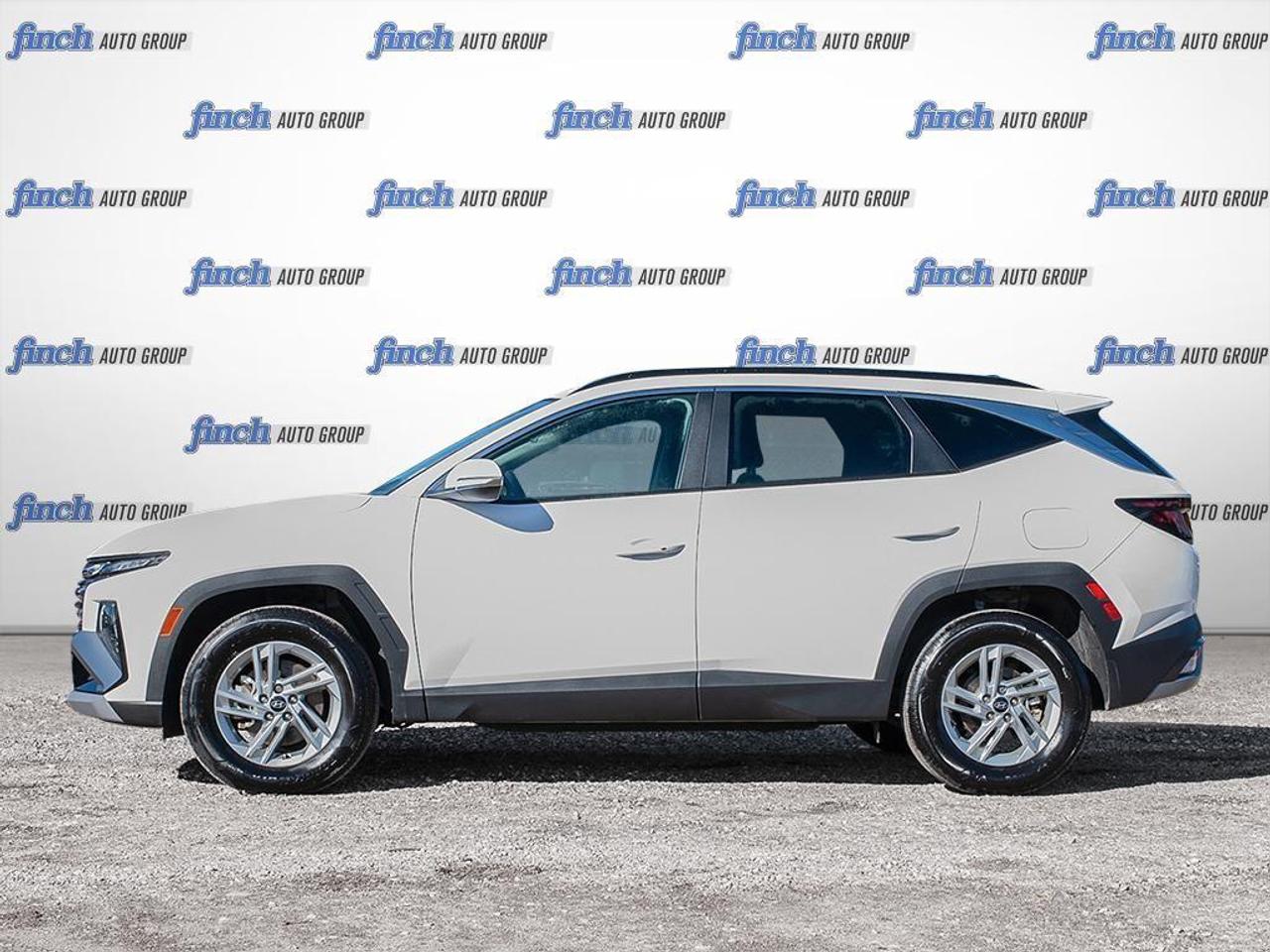 2025 Hyundai Tucson  Photo