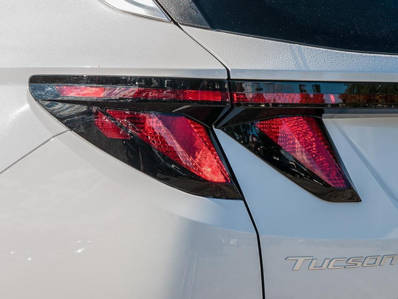 2025 Hyundai Tucson  Photo