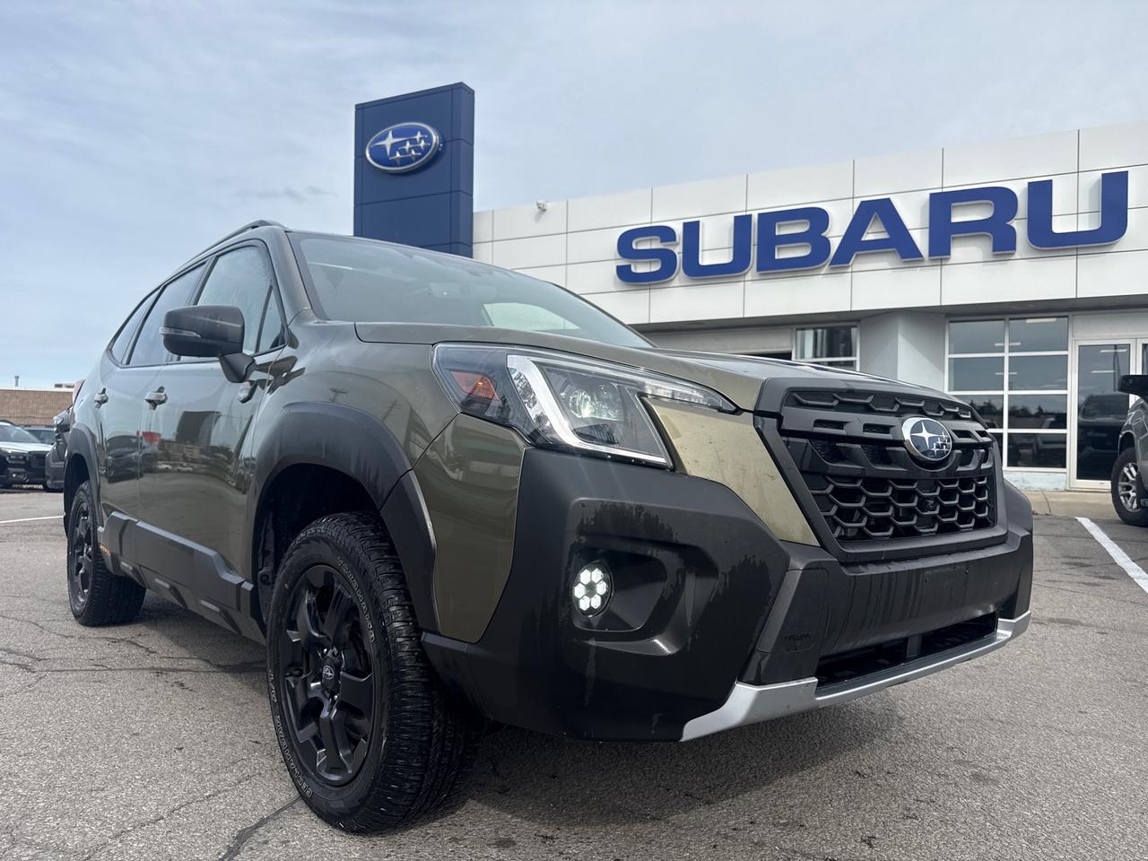 2024 Subaru Forester Wilderness 4dr All-Wheel Drive Photo0