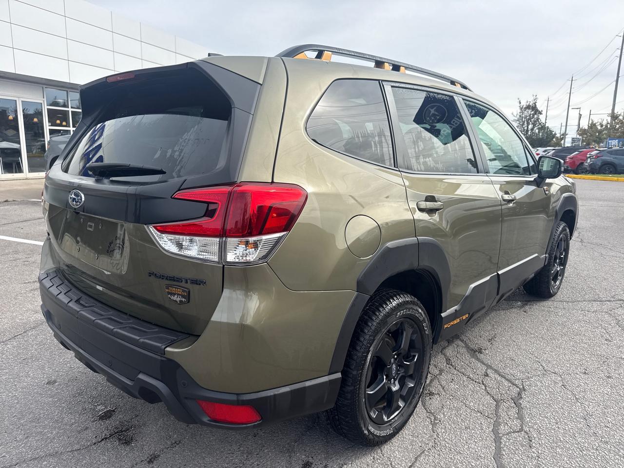 2024 Subaru Forester Wilderness 4dr All-Wheel Drive Photo
