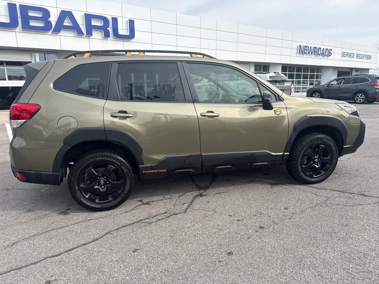 2024 Subaru Forester Wilderness 4dr All-Wheel Drive Photo