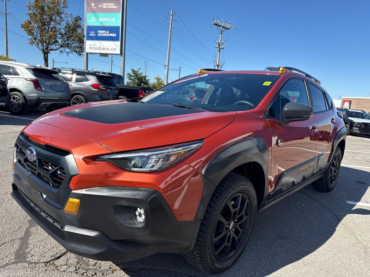 2024 Subaru Crosstrek Wilderness 4dr All-Wheel Drive Photo2
