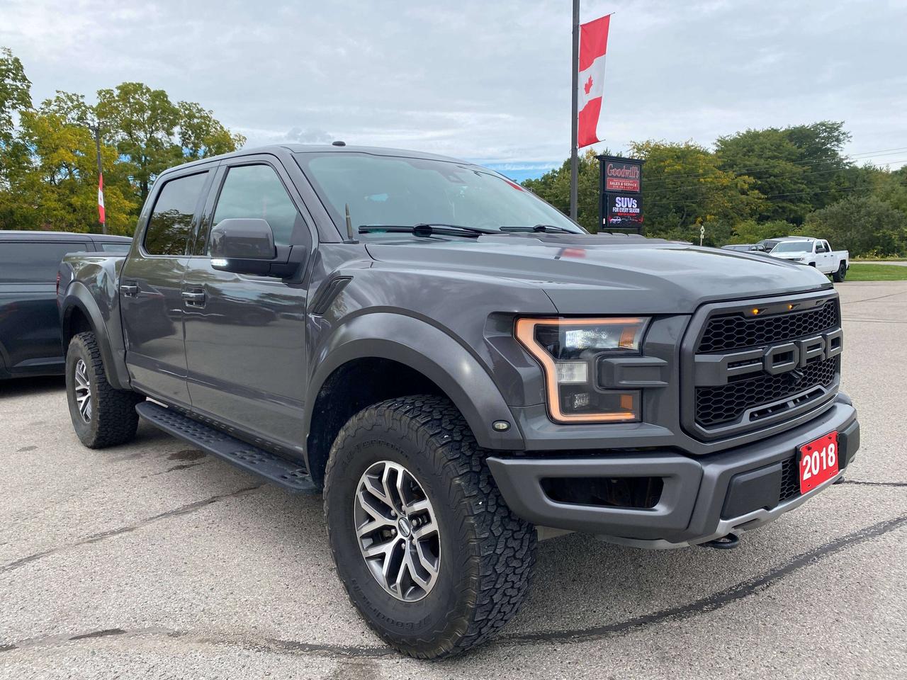2018 Ford F-150 RAPTOR! CLEAN CARFAX, SUNROOF, REMOTE START! Photo