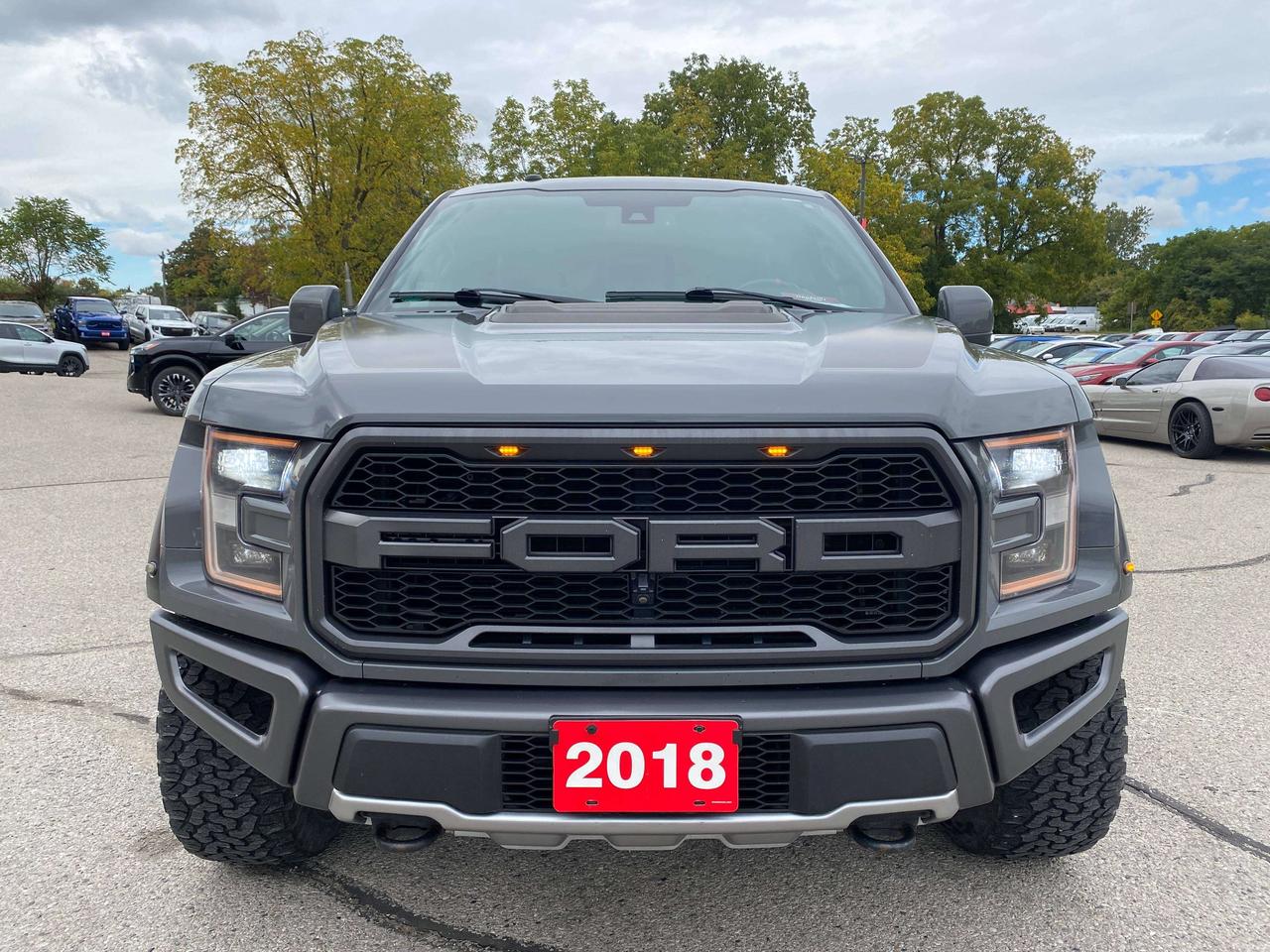 2018 Ford F-150 RAPTOR! CLEAN CARFAX, SUNROOF, REMOTE START! Photo