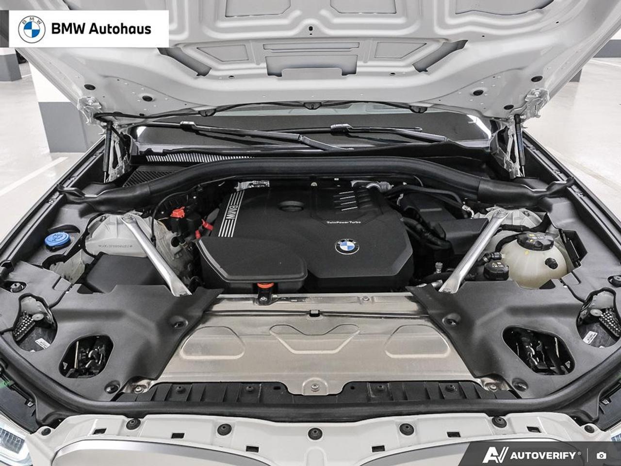 2024 BMW X3 xDrive30i Sports Activity Vehicle Photo