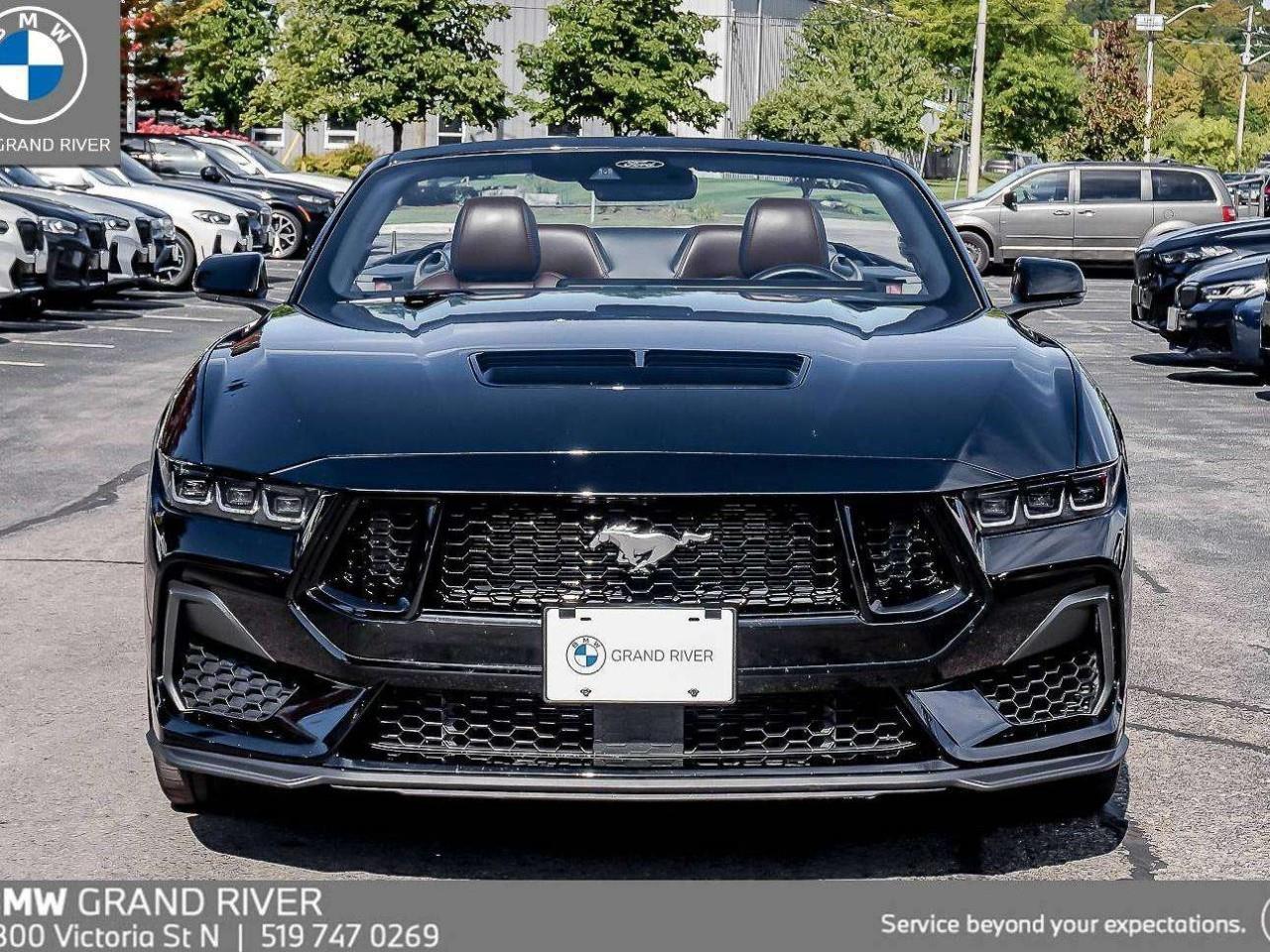 2024 Ford Mustang GT Premium 2dr Convertible Photo