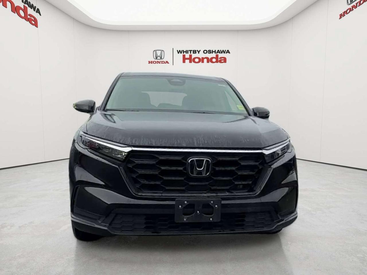 2026 Honda CR-V LX Photo