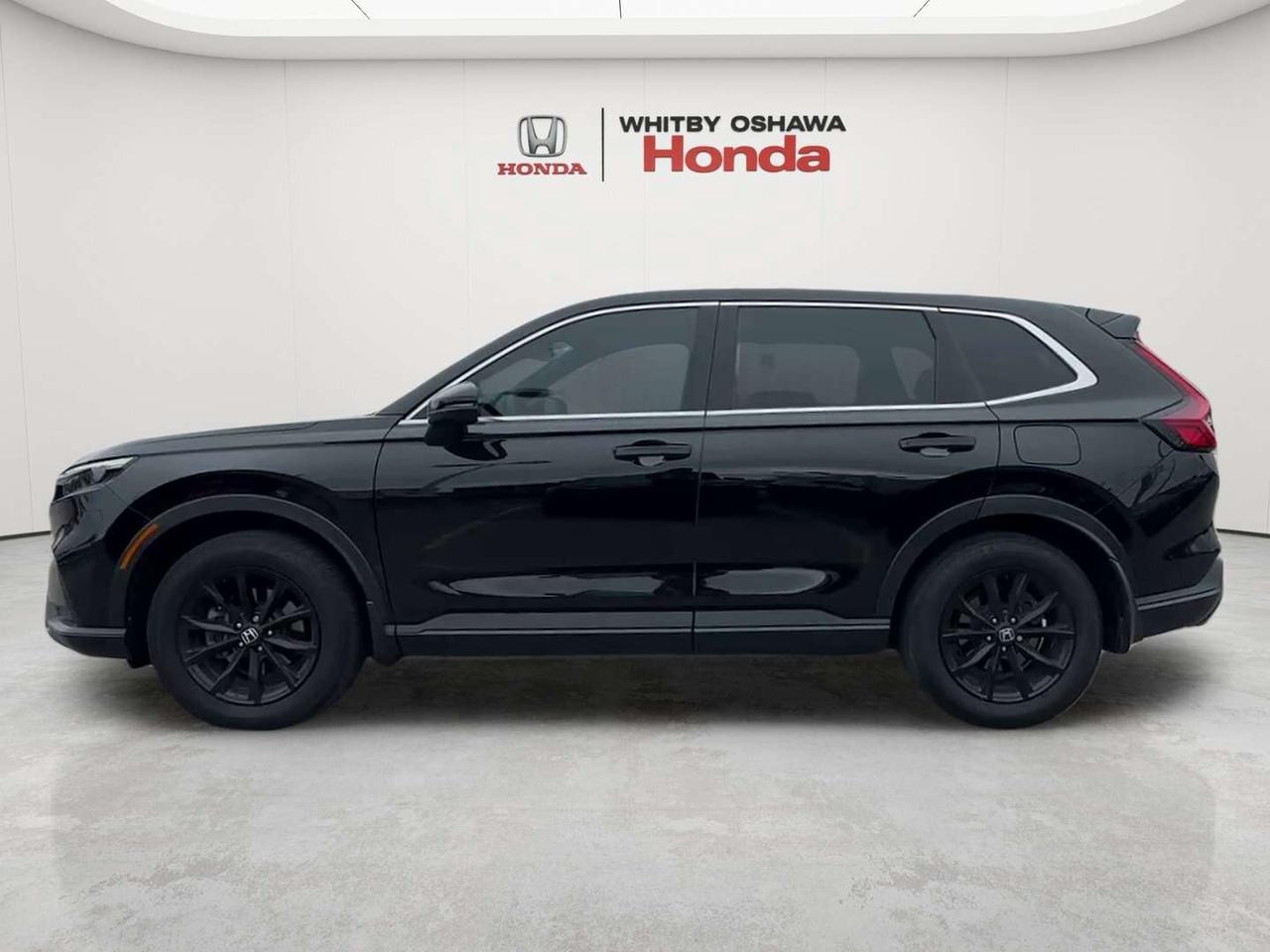 2024 Honda CR-V EX-L Photo