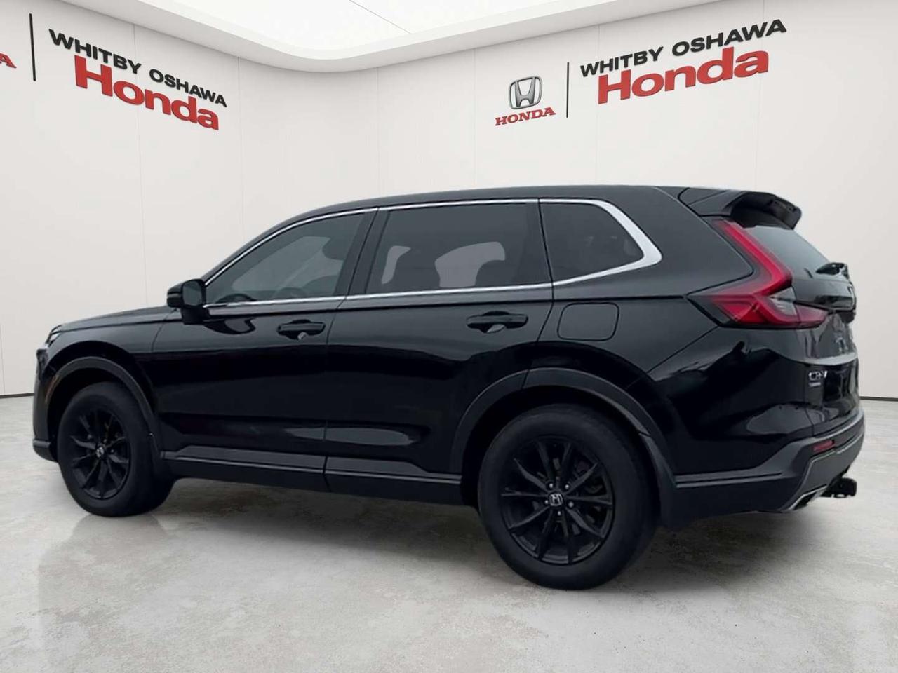 2024 Honda CR-V EX-L Photo3