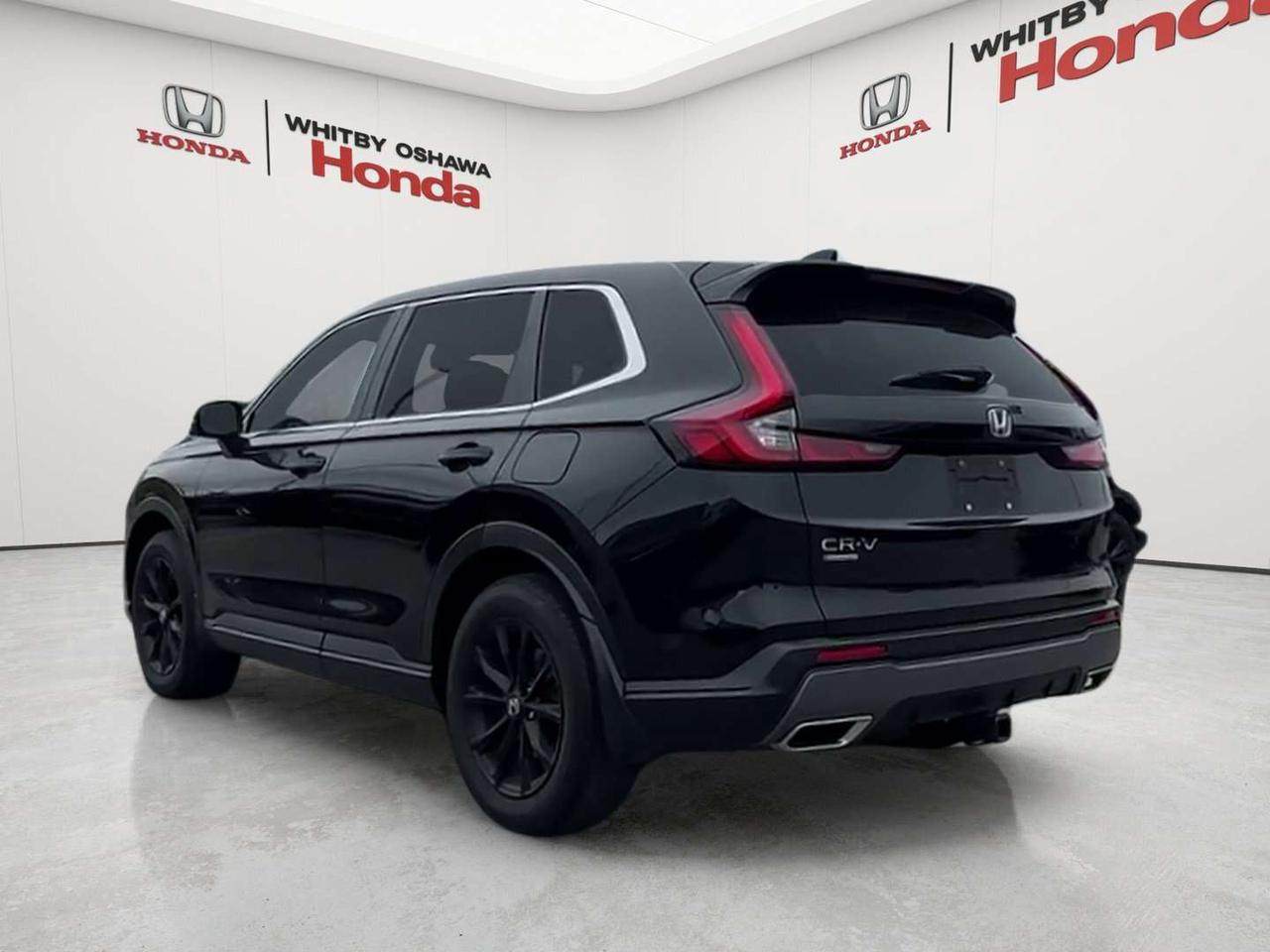 2024 Honda CR-V EX-L Photo