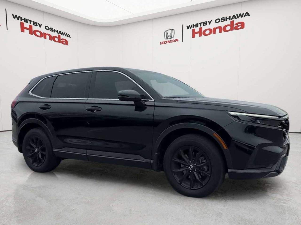 2024 Honda CR-V EX-L Photo