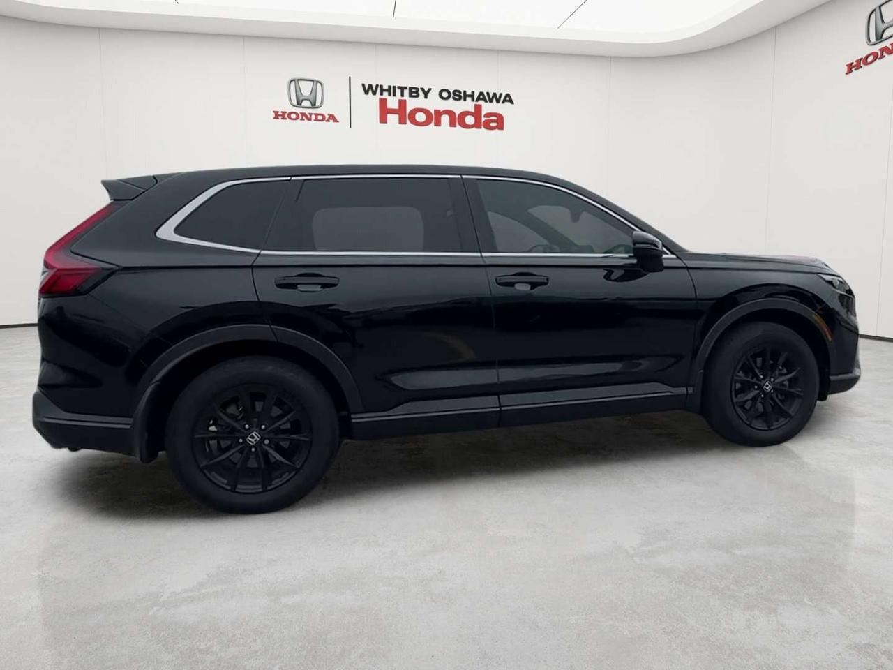 2024 Honda CR-V EX-L Photo