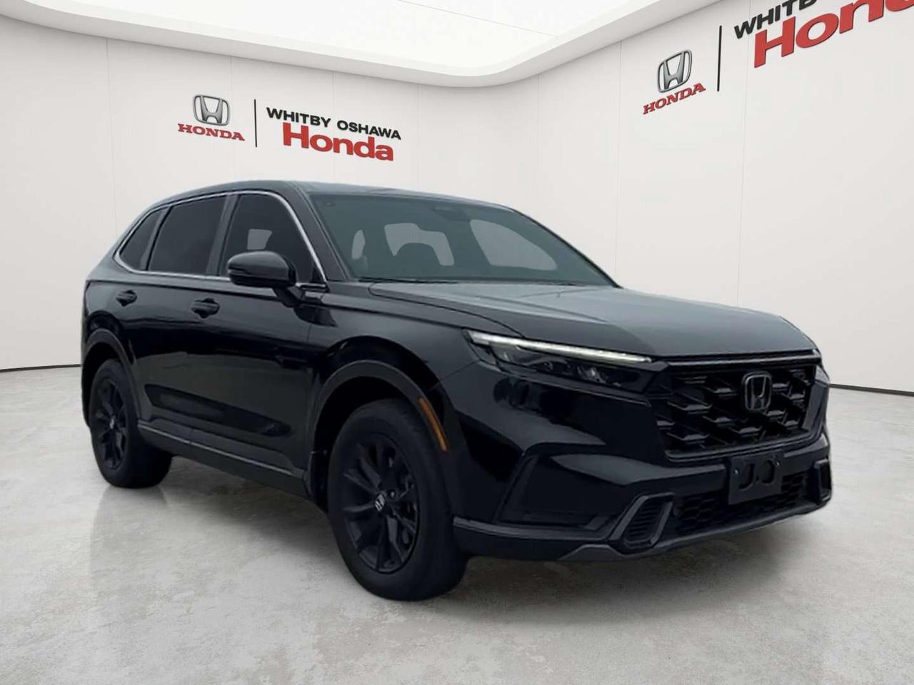 2024 Honda CR-V EX-L Photo