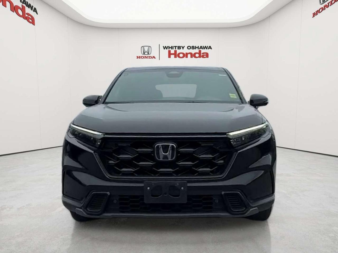 2024 Honda CR-V EX-L Photo