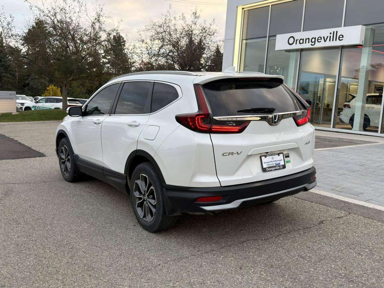 2020 Honda CR-V EX-L Photo