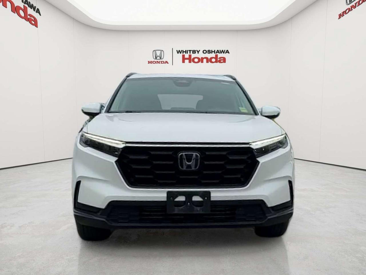 2025 Honda CR-V Sport Photo