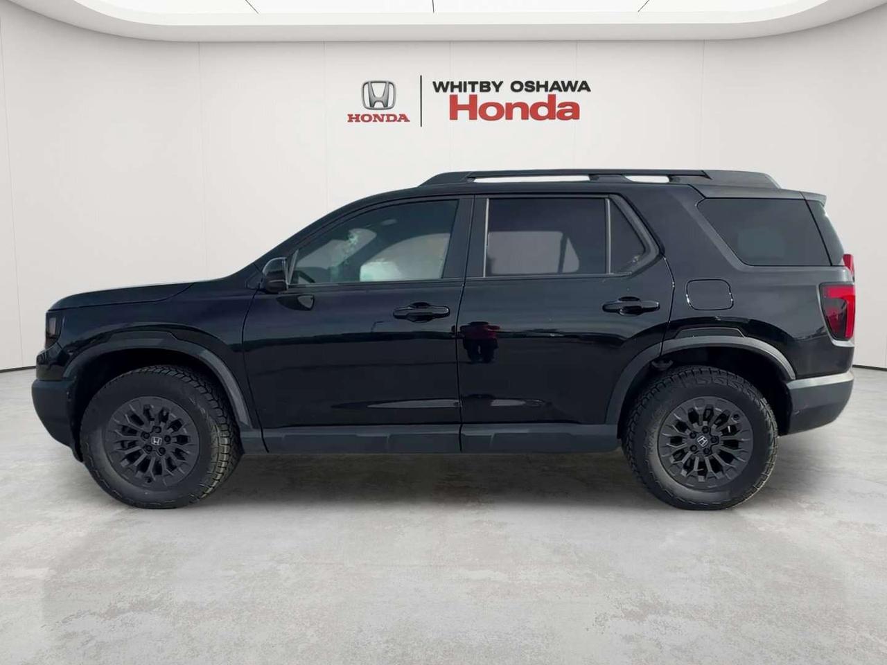 2026 Honda Passport TRAILSPORT Photo