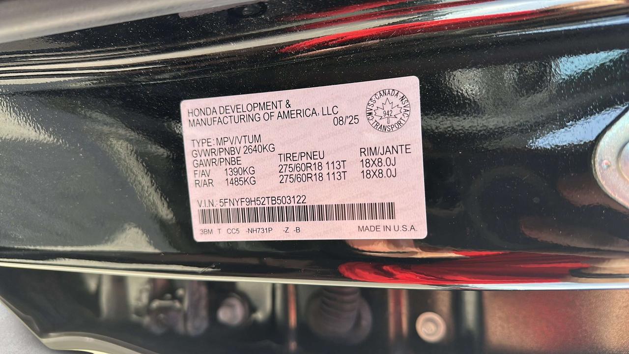 2026 Honda Passport TRAILSPORT Photo