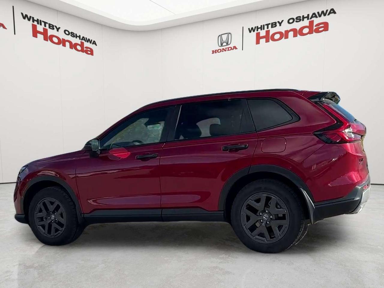 2026 Honda CR-V TrailSport Photo