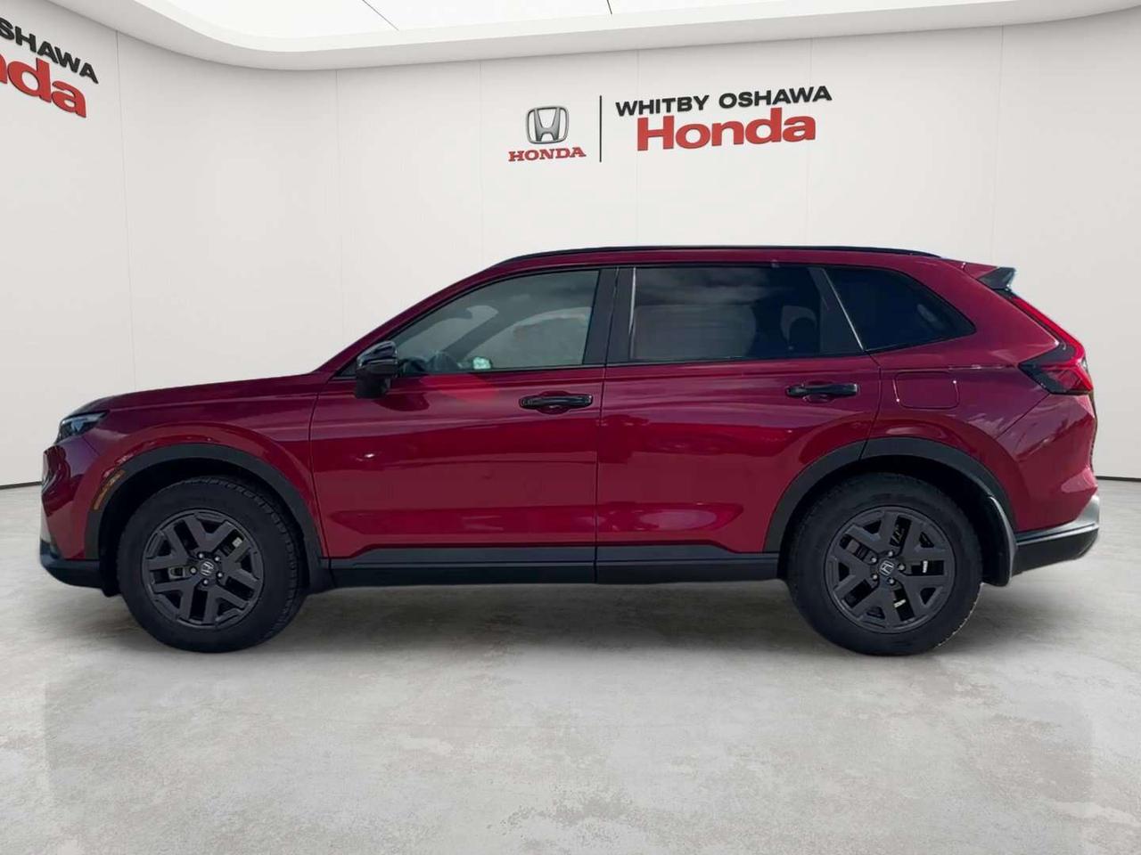 2026 Honda CR-V TrailSport Photo