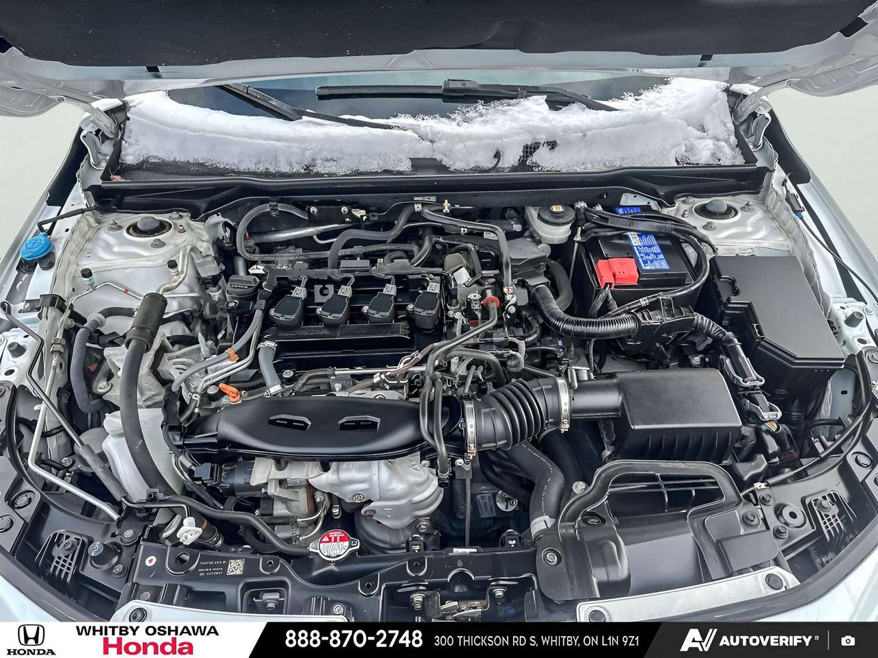 2024 Honda Civic Touring Photo
