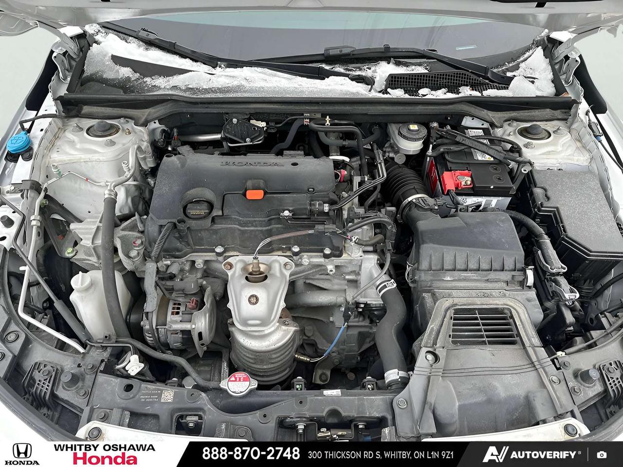 2024 Honda Civic EX Photo