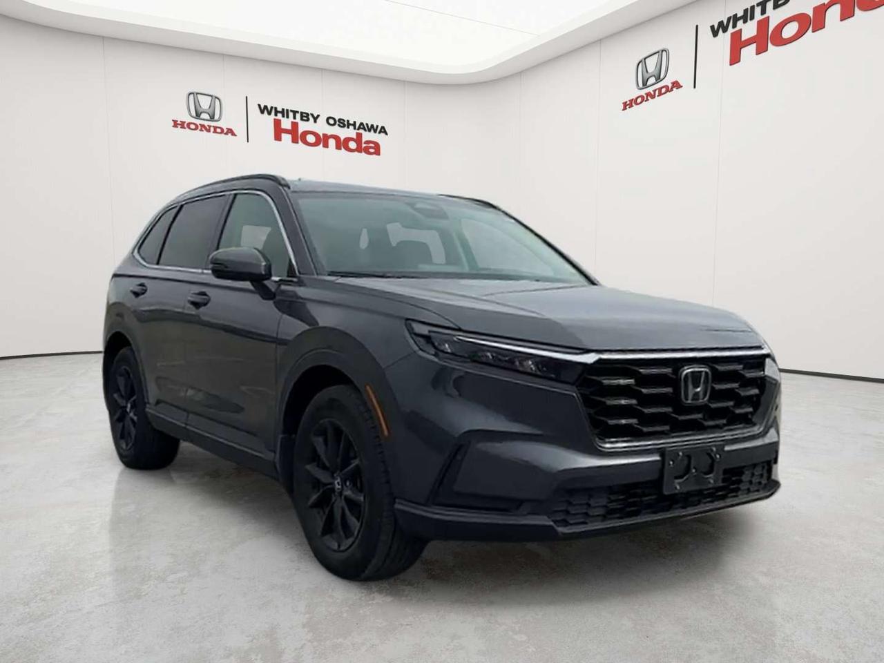 2026 Honda CR-V Sport Photo