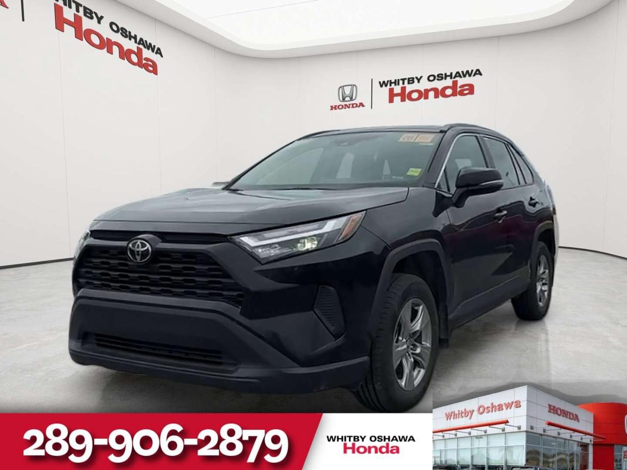 2025 Toyota RAV4 XLE Photo0