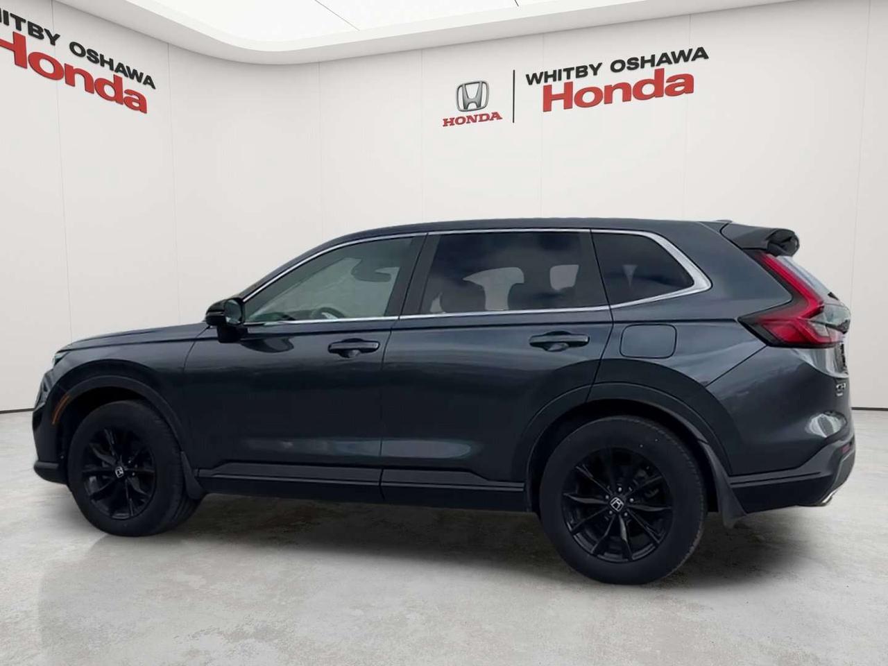 2025 Honda CR-V EX-L Photo3