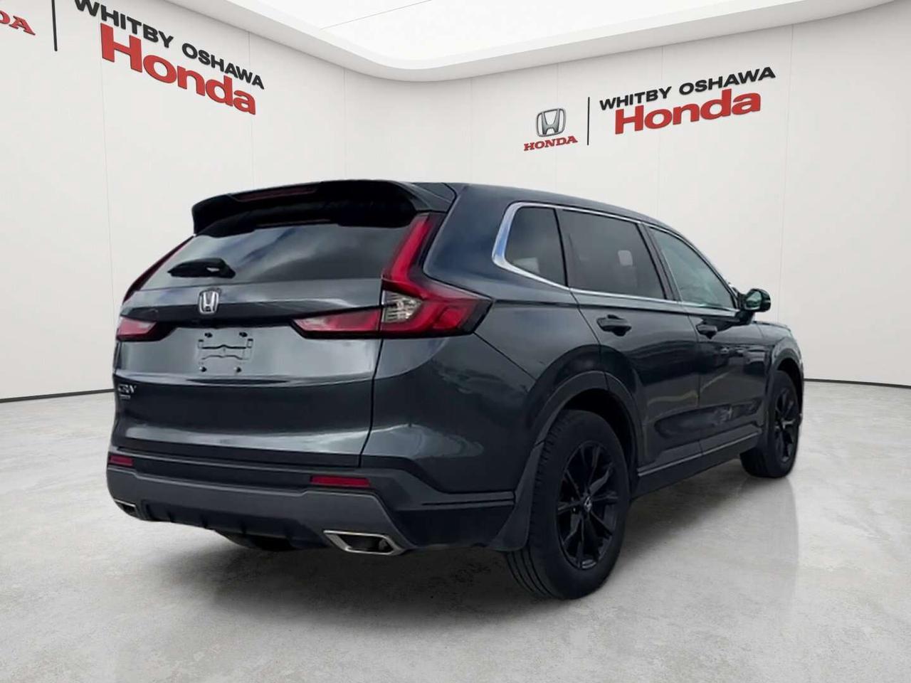 2025 Honda CR-V EX-L Photo