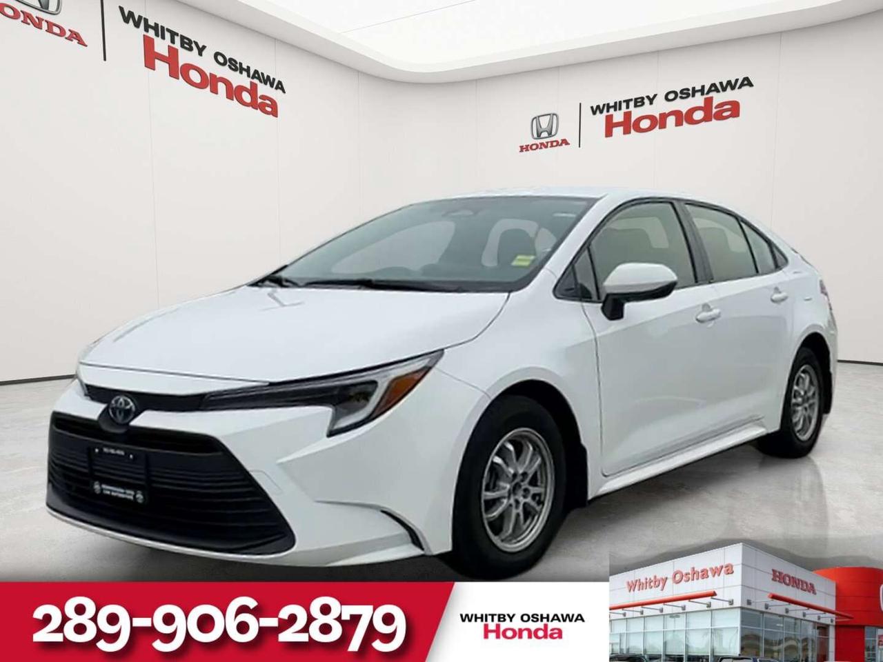 2025 Toyota Corolla LE Photo