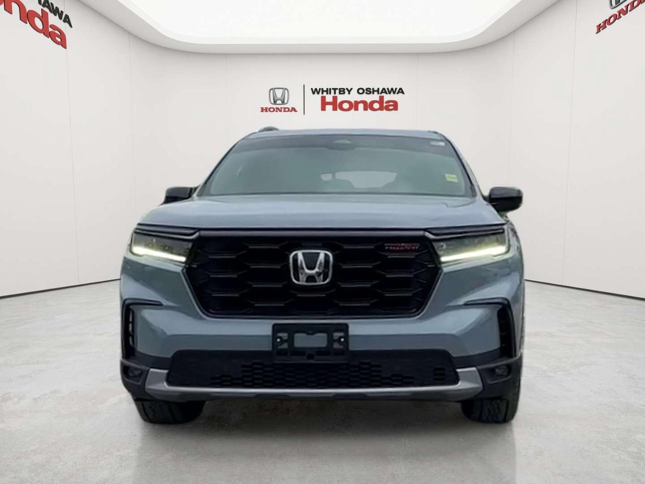 2025 Honda Pilot TrailSport Photo