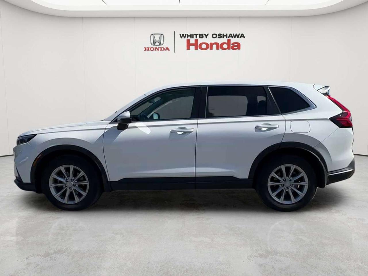 2024 Honda CR-V EX-L Photo