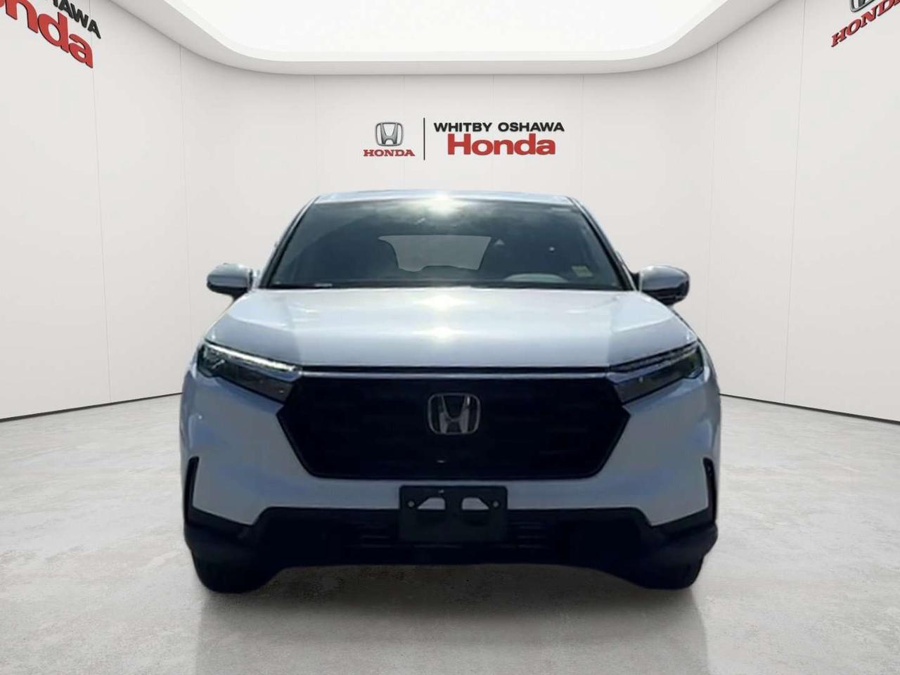2024 Honda CR-V EX-L Photo