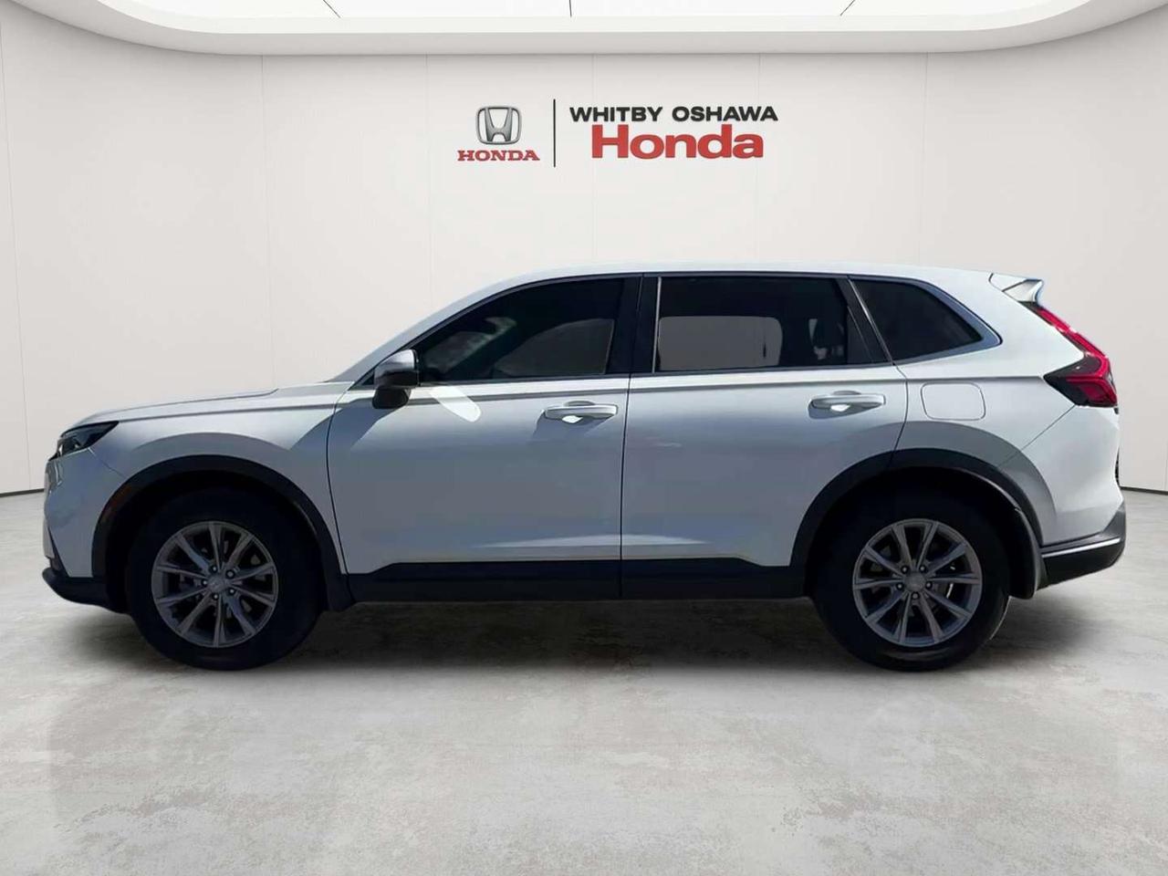 2023 Honda CR-V EX-L Photo