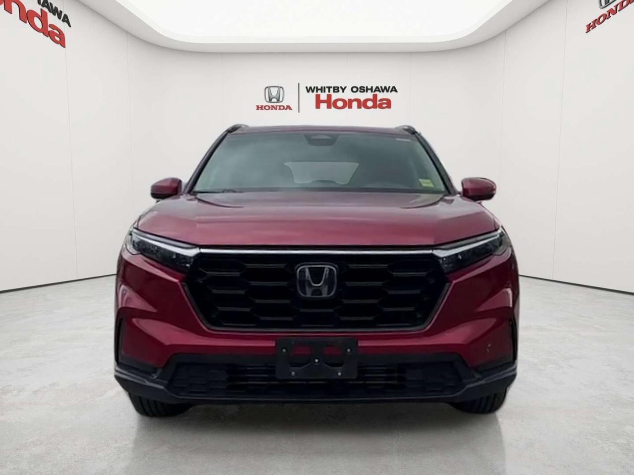 2025 Honda CR-V Sport Photo