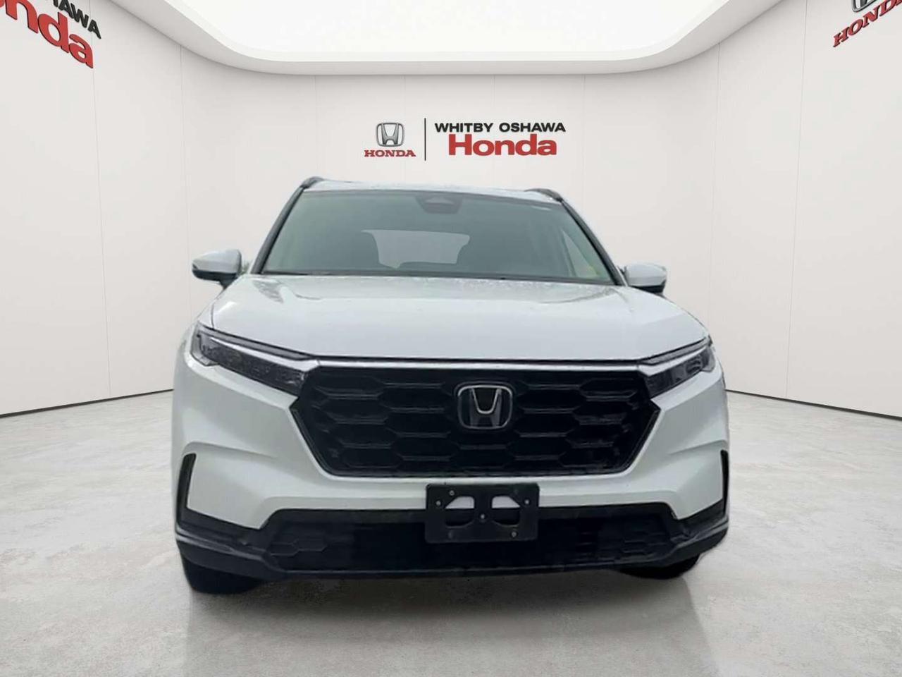 2026 Honda CR-V Sport Photo