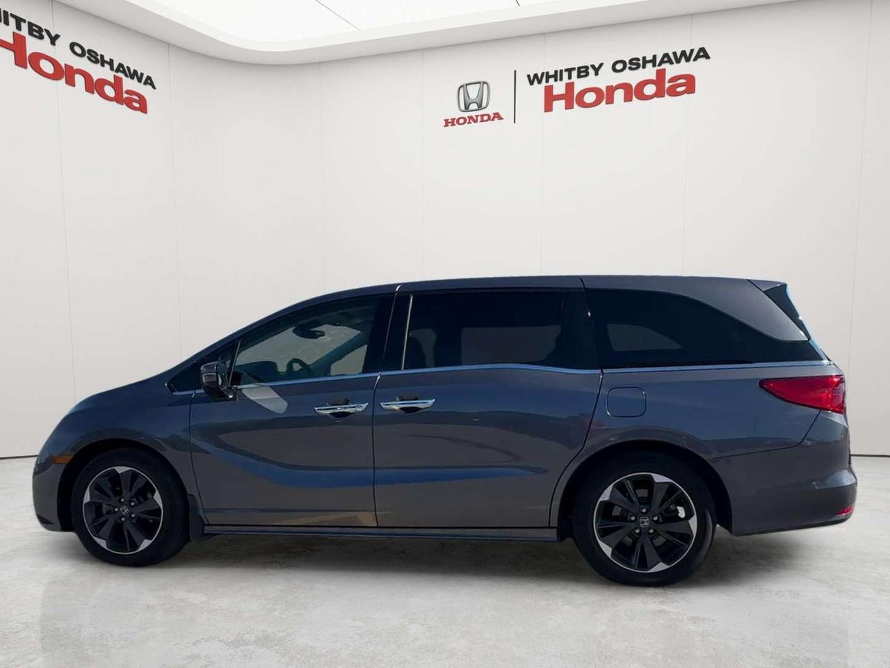 2024 Honda Odyssey Touring Photo