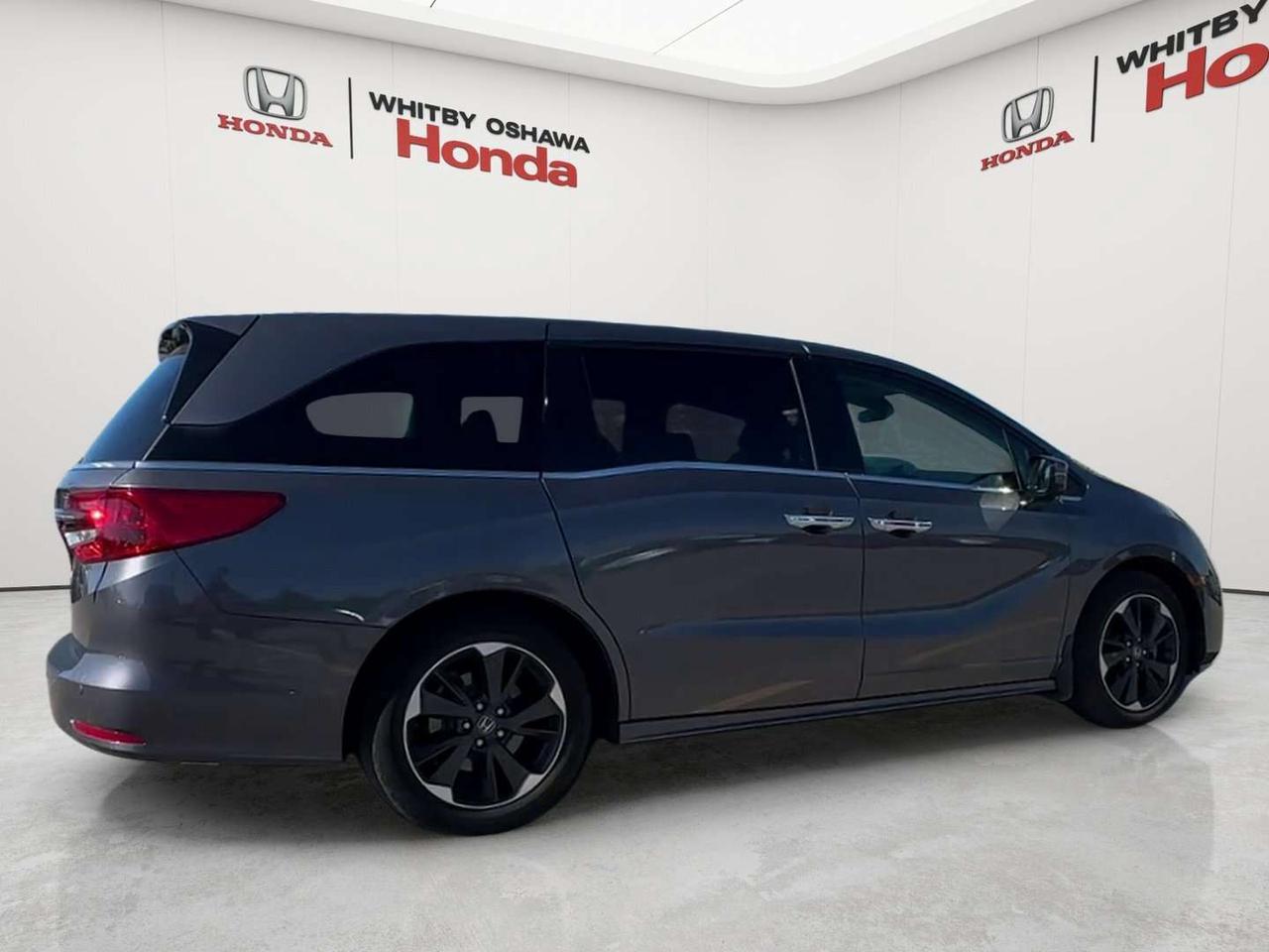 2024 Honda Odyssey Touring Photo