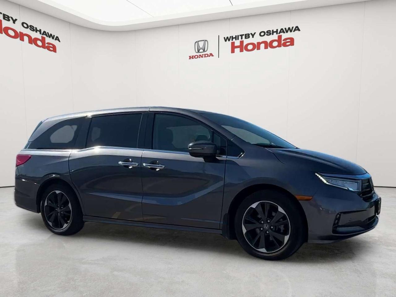 2024 Honda Odyssey Touring Photo
