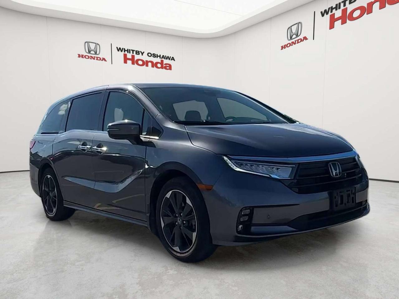 2024 Honda Odyssey Touring Photo