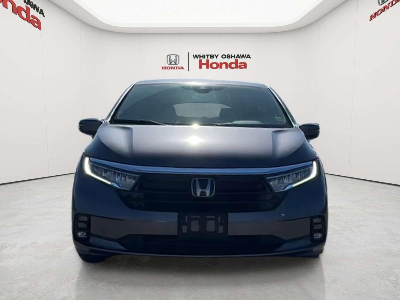 2024 Honda Odyssey Touring Photo