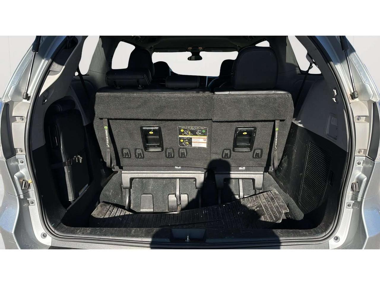 2020 Toyota Sienna SE Photo