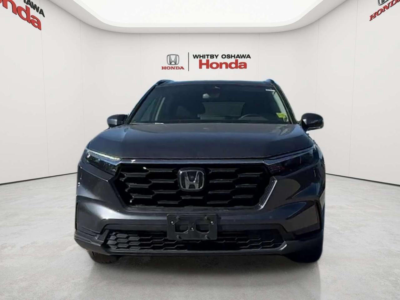 2026 Honda CR-V Sport Photo