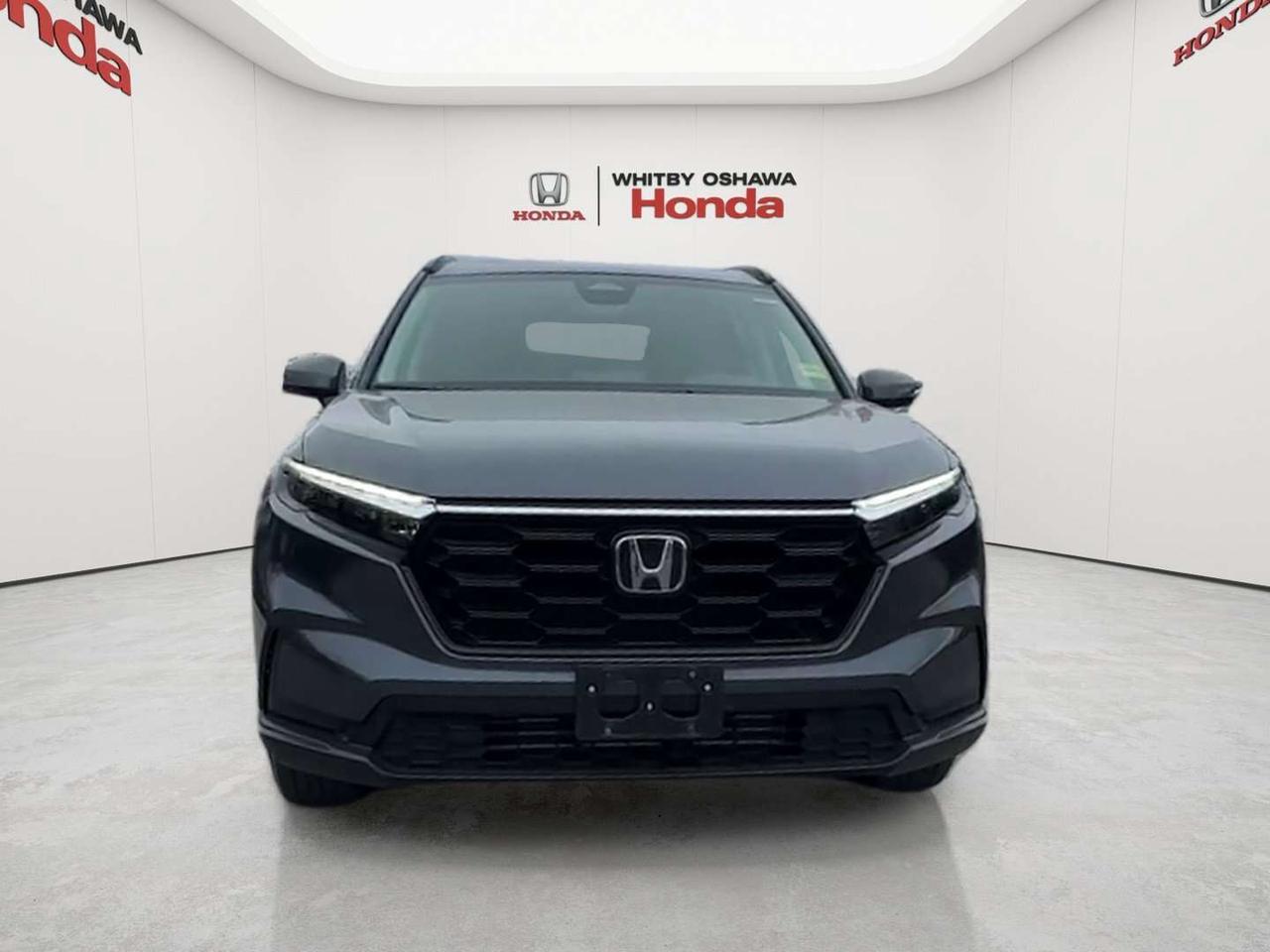 2025 Honda CR-V Sport Photo