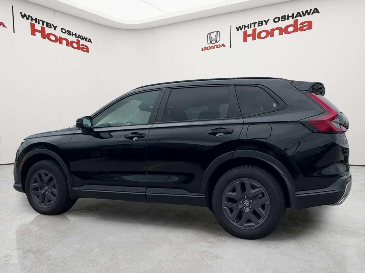 2026 Honda CR-V TrailSport Photo