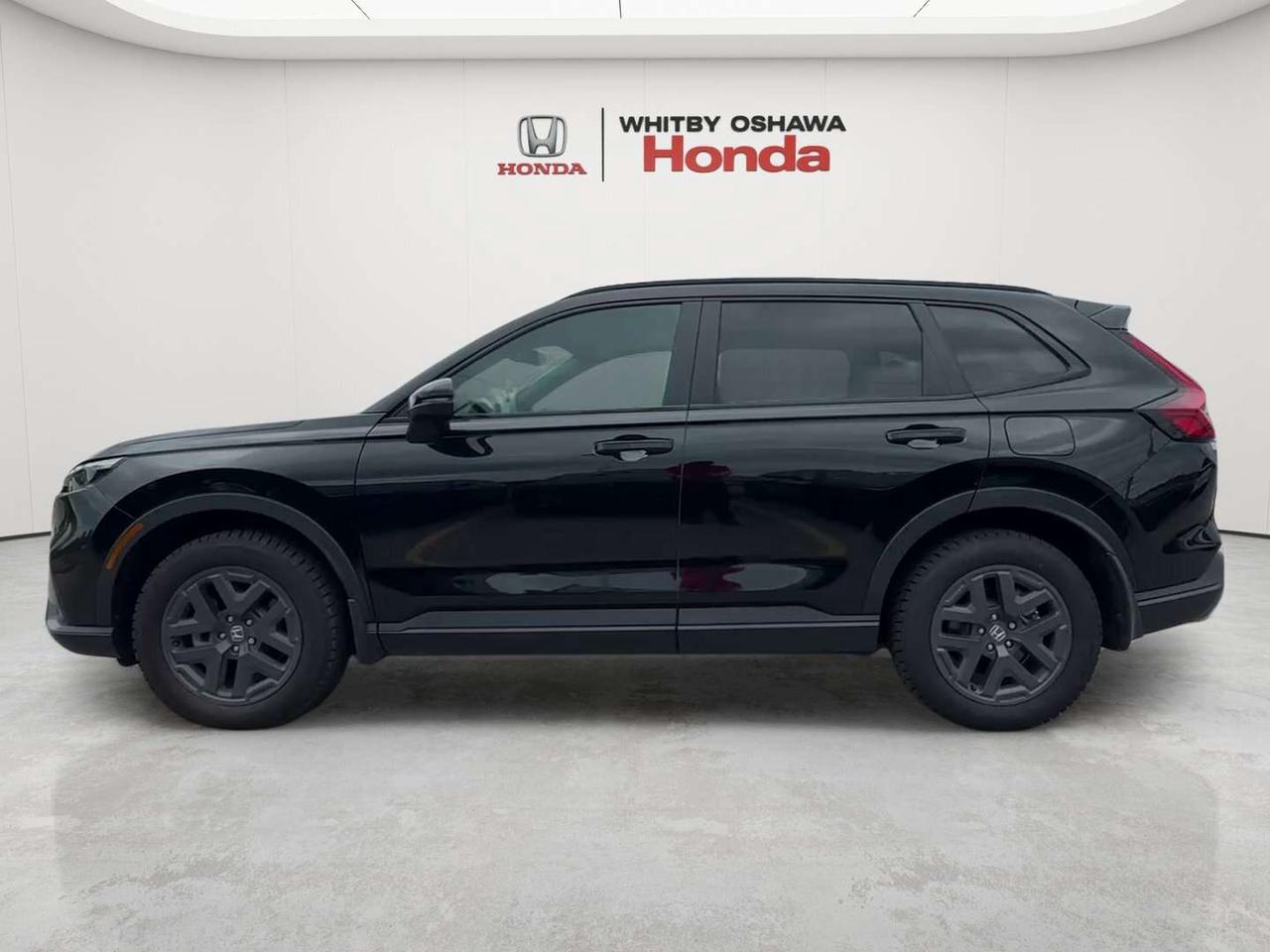 2026 Honda CR-V TrailSport Photo