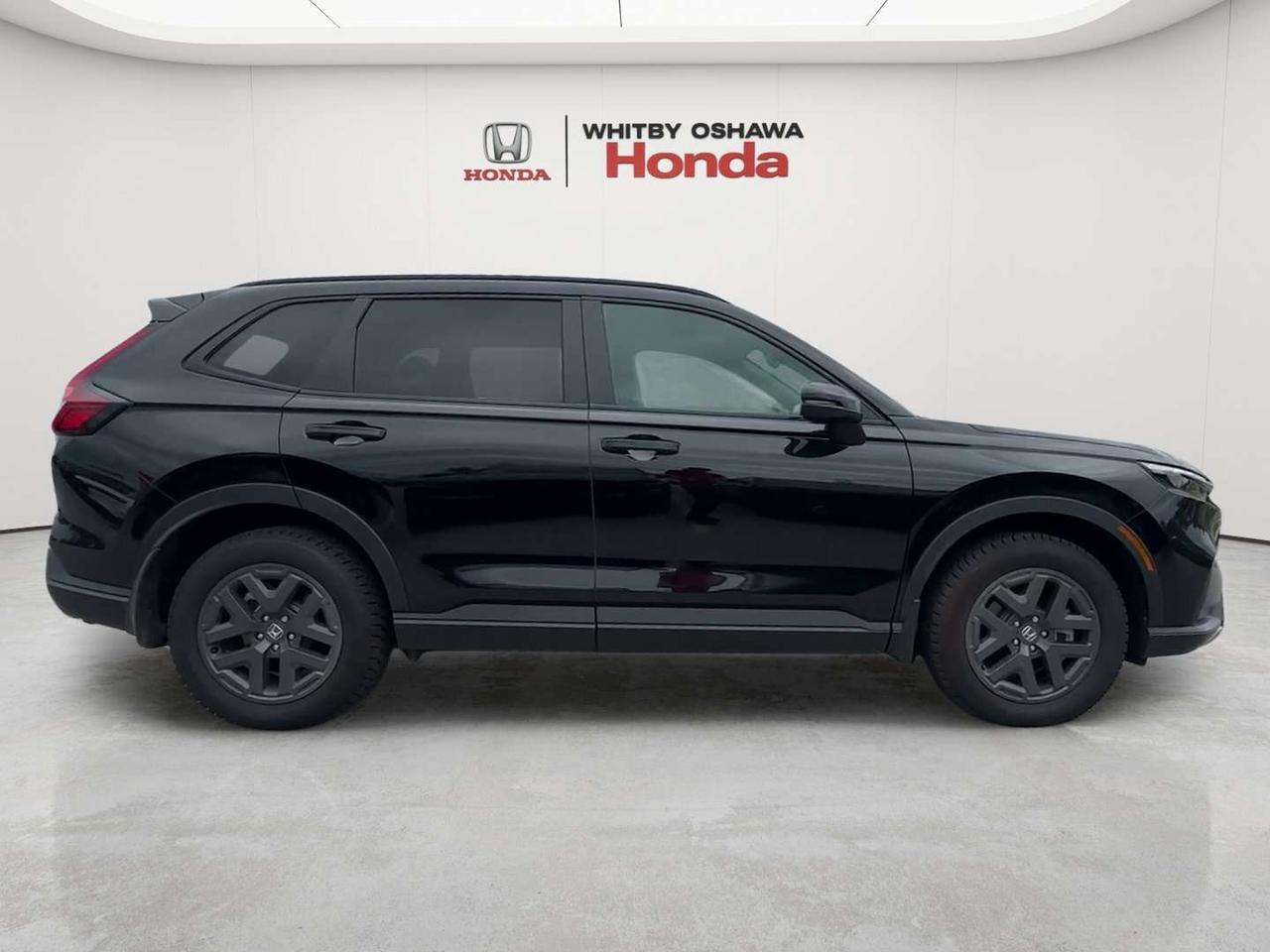 2026 Honda CR-V TrailSport Photo