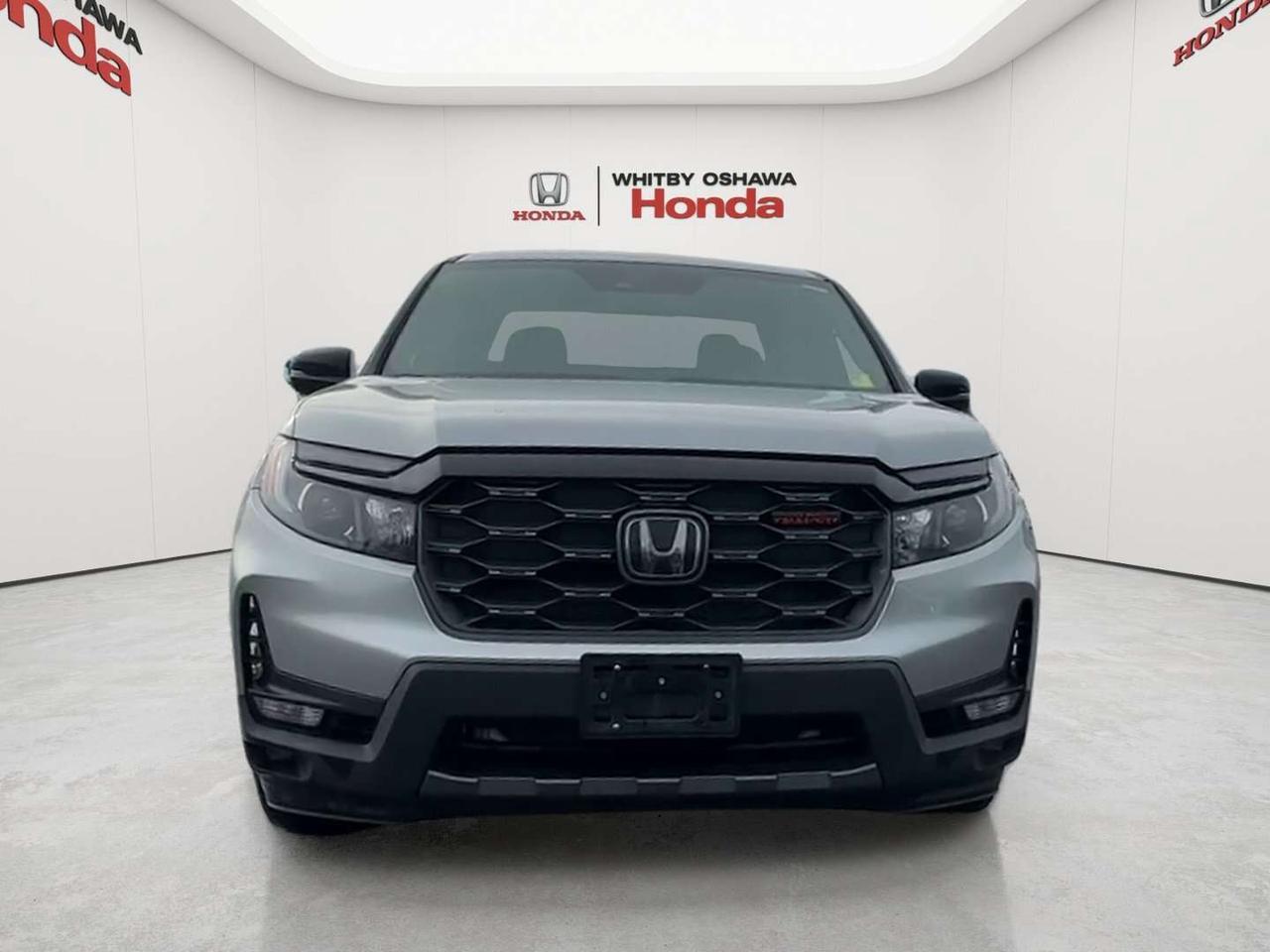 2026 Honda Ridgeline TrailSport Photo